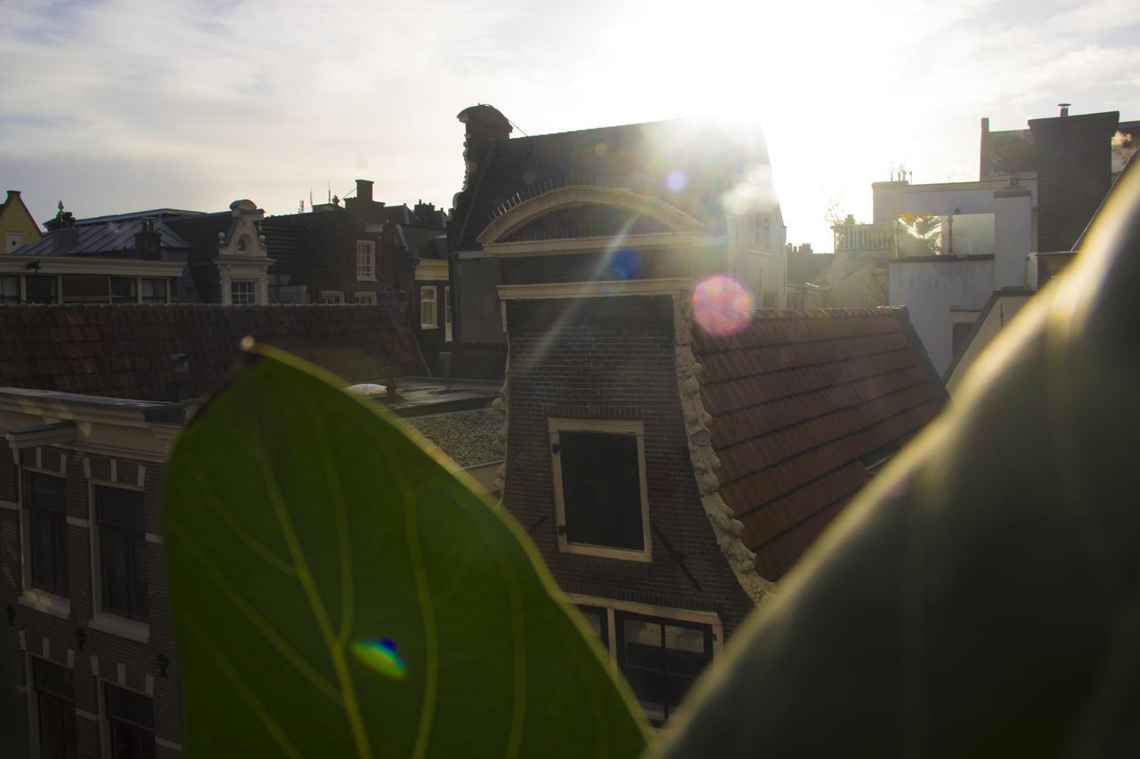 Attic Monkeys Lodge Amsterdam Eksteriør bilde