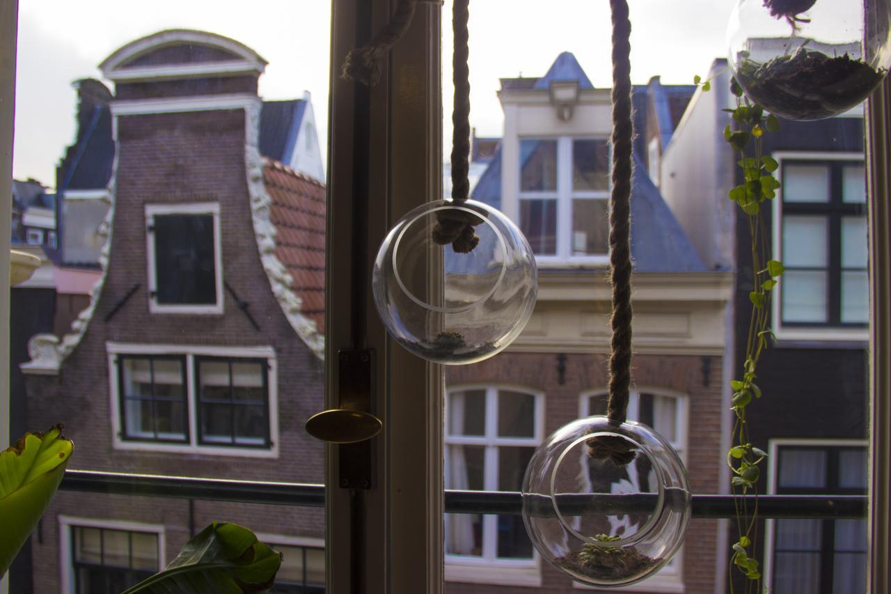 Attic Monkeys Lodge Amsterdam Eksteriør bilde